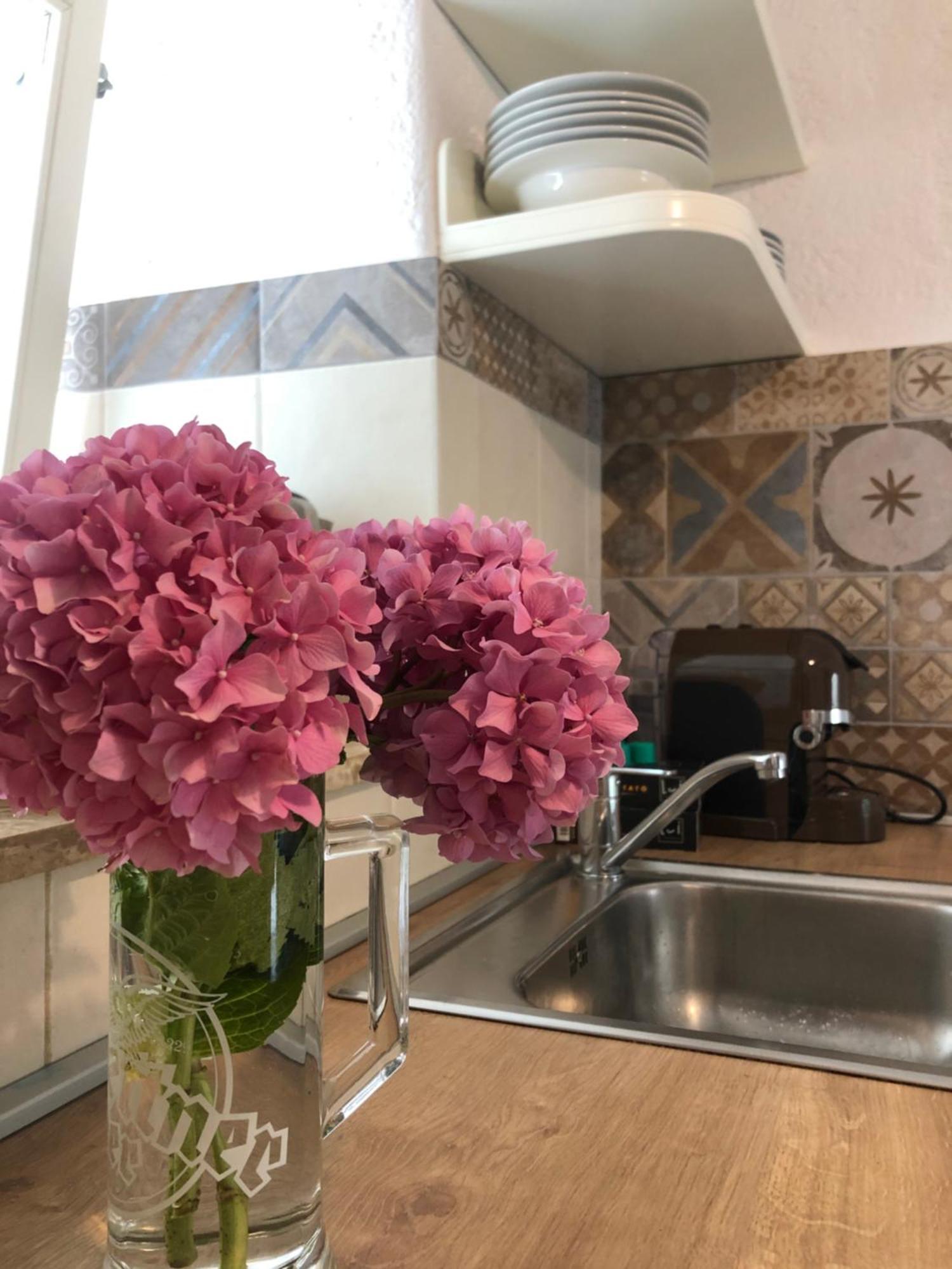 Apartment Susanj Мошченице Экстерьер фото